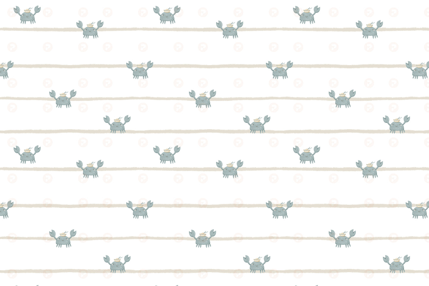 Little Crab Sailors
