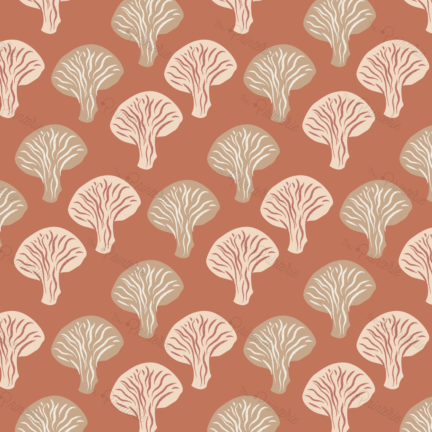 Oyster Mushroom