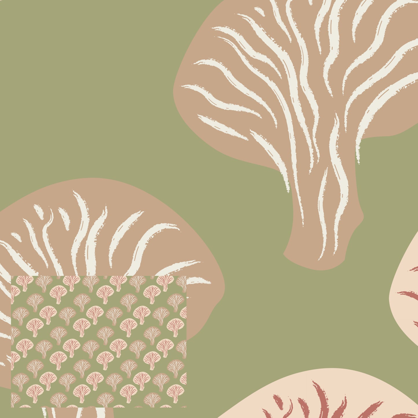 Oyster Mushroom