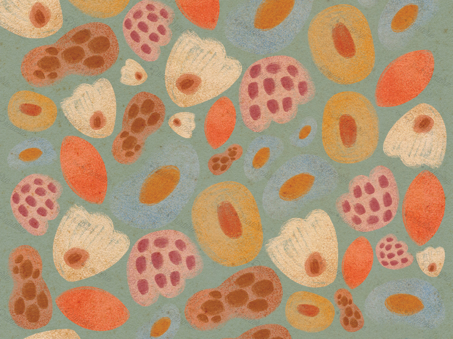 Jelly Beans