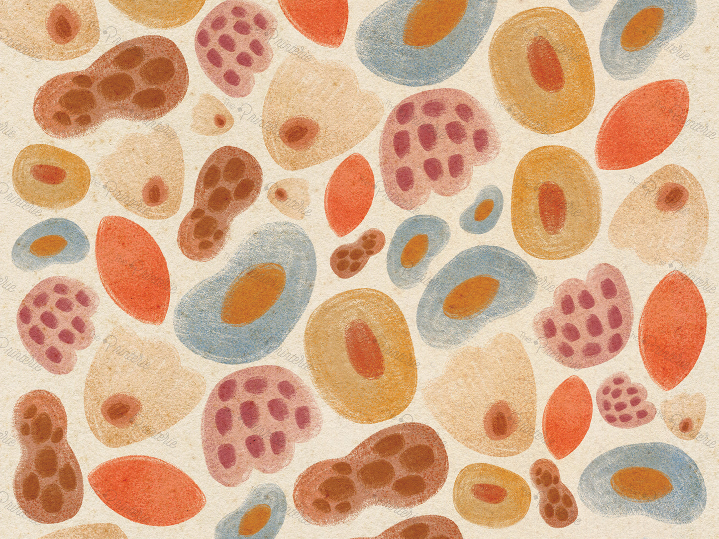 Jelly Beans