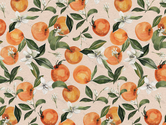 Orange Paradise