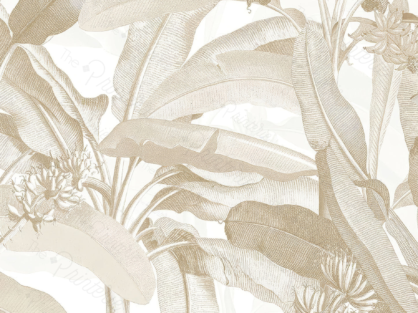 Aurum Palms