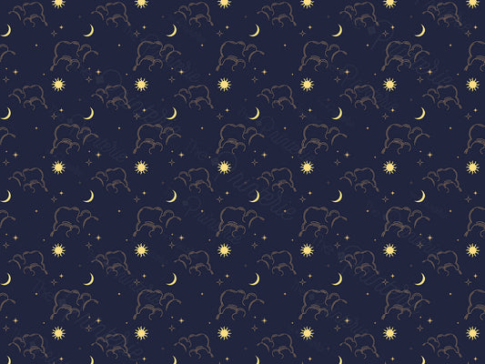 Night Skies