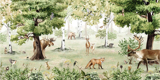 Woodland Wonders