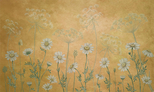 Dazzling Daisies | Yellow