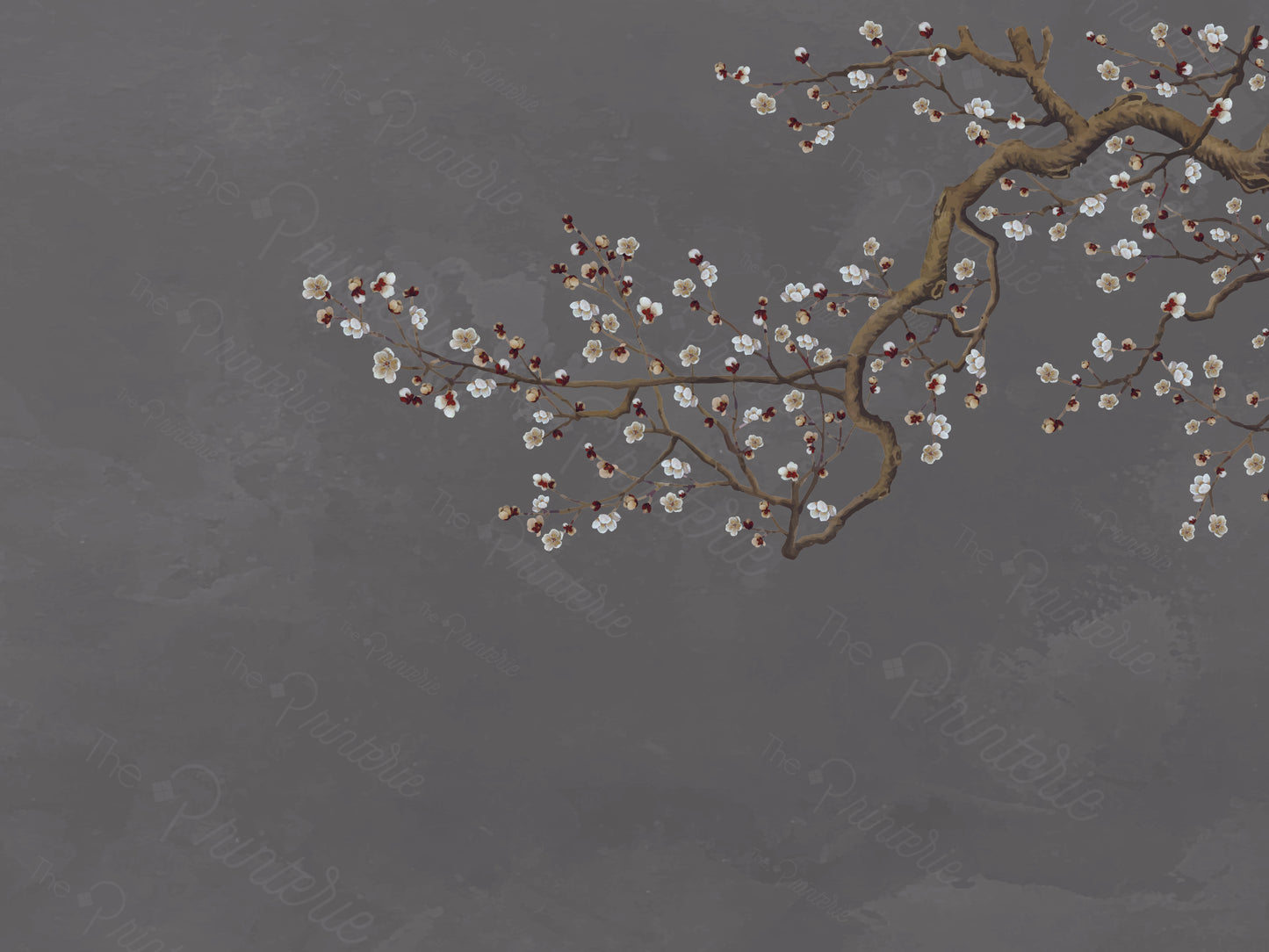 Cherry Blossom