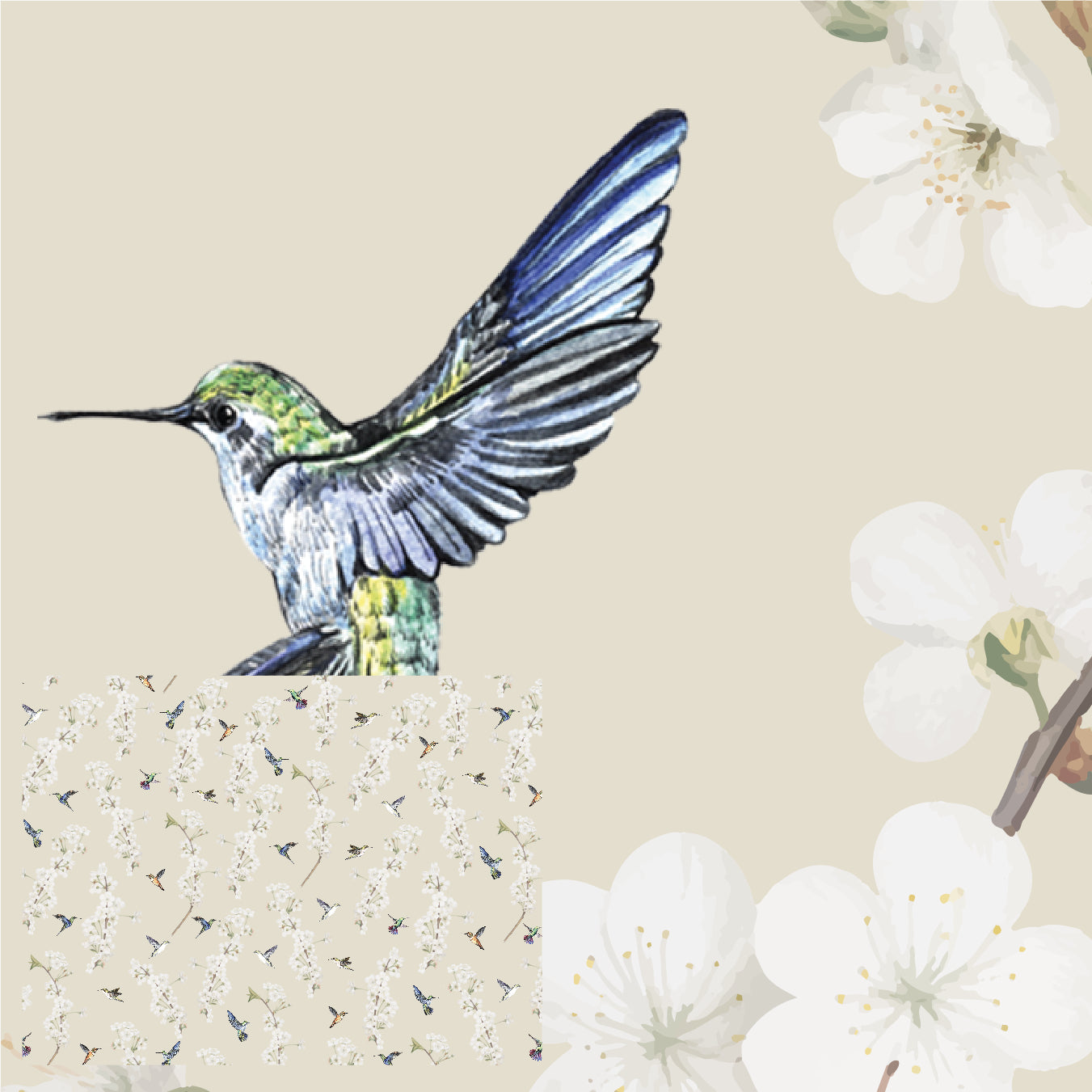 Humming Birds & Flowers