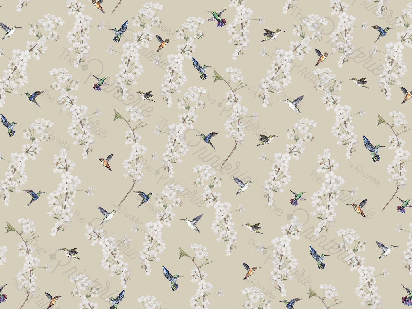 Humming Birds & Flowers