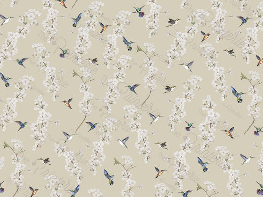 Humming Birds & Flowers