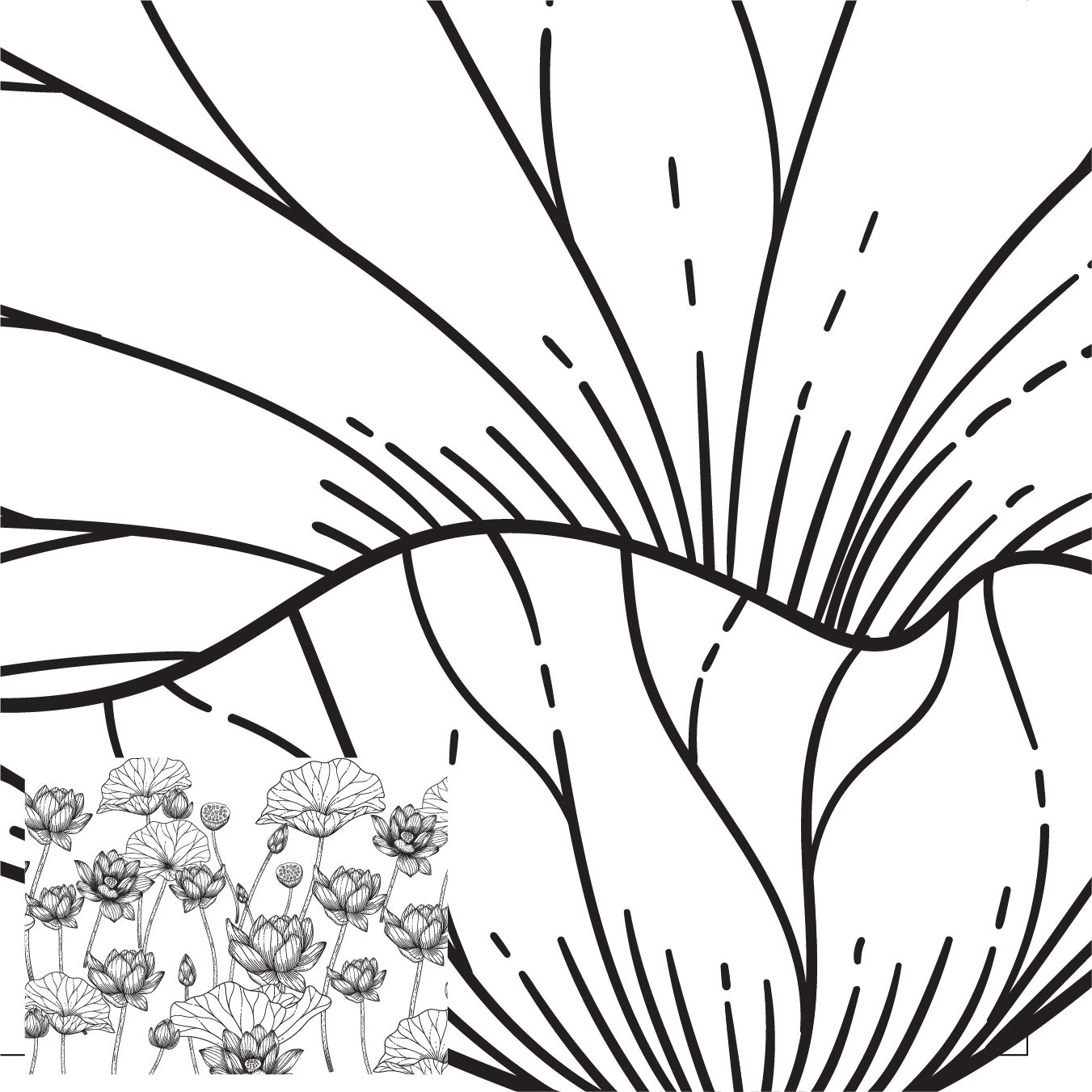 Lotus Flowers