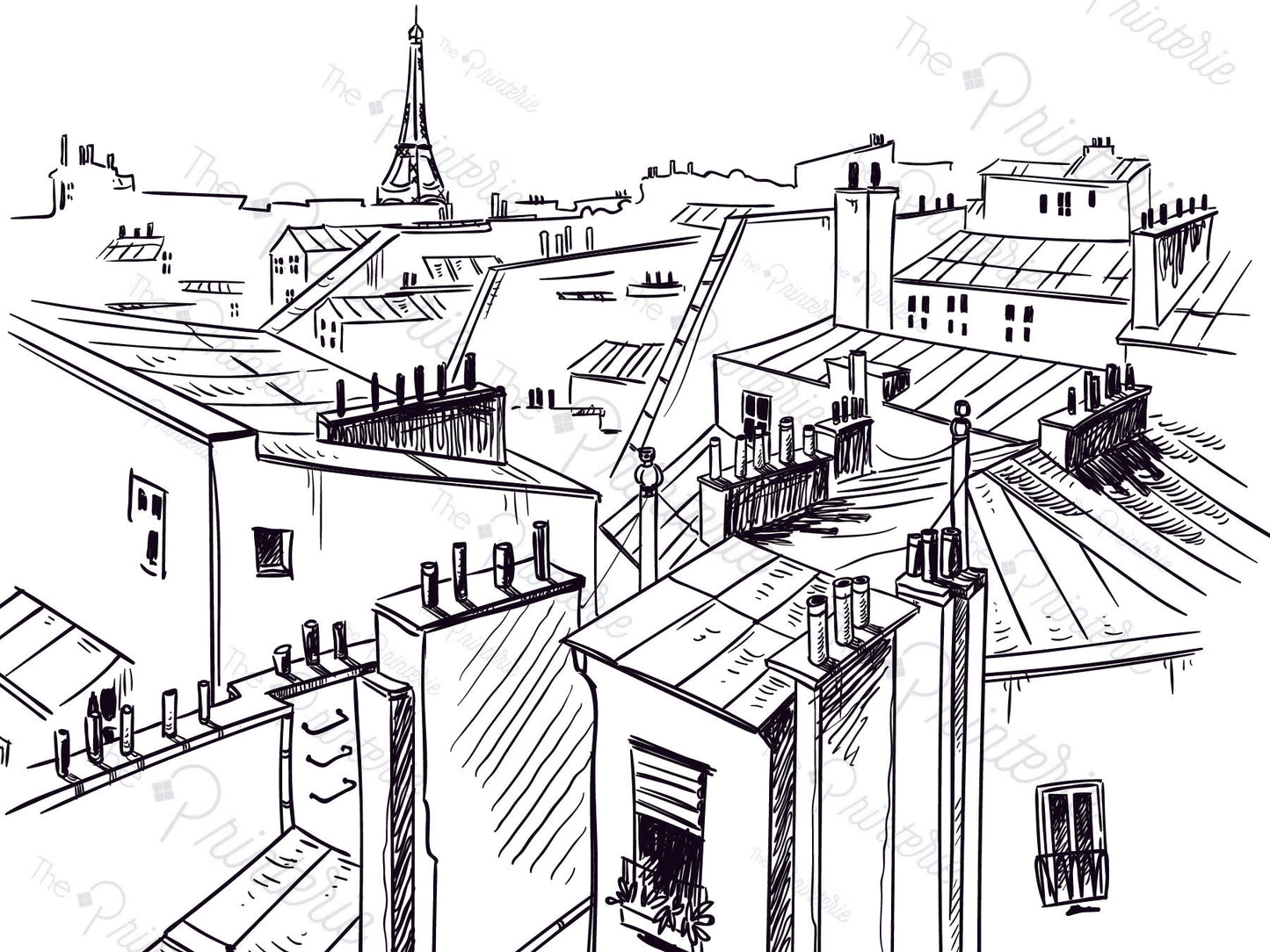 Paris Rooftop