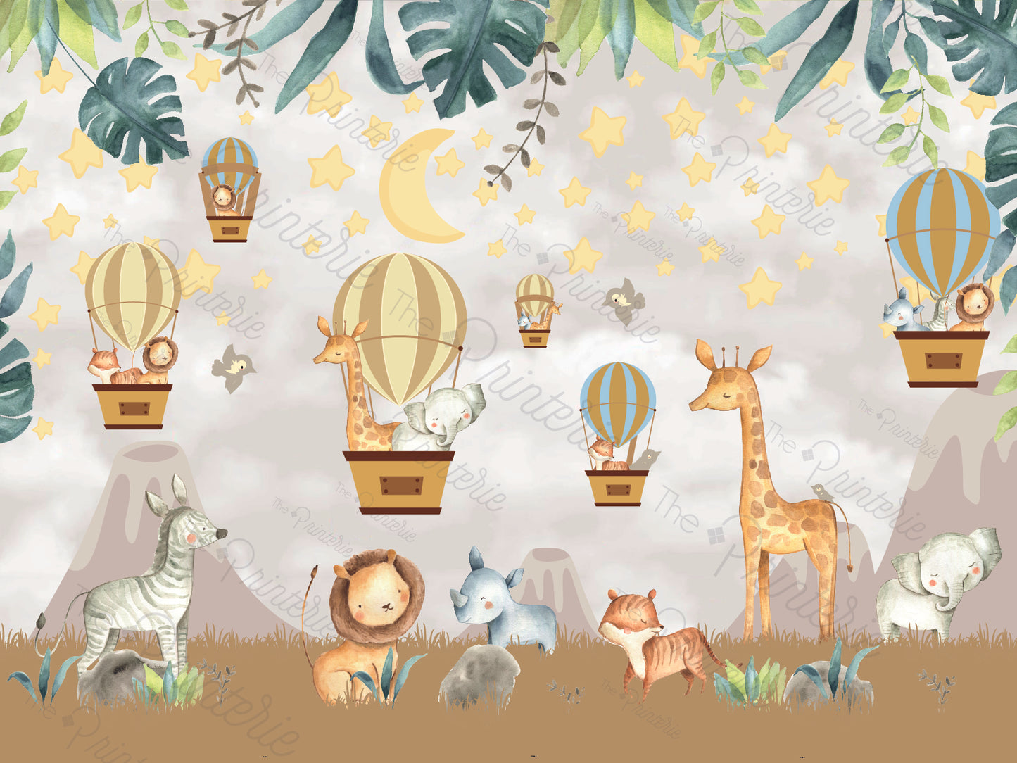 Safari