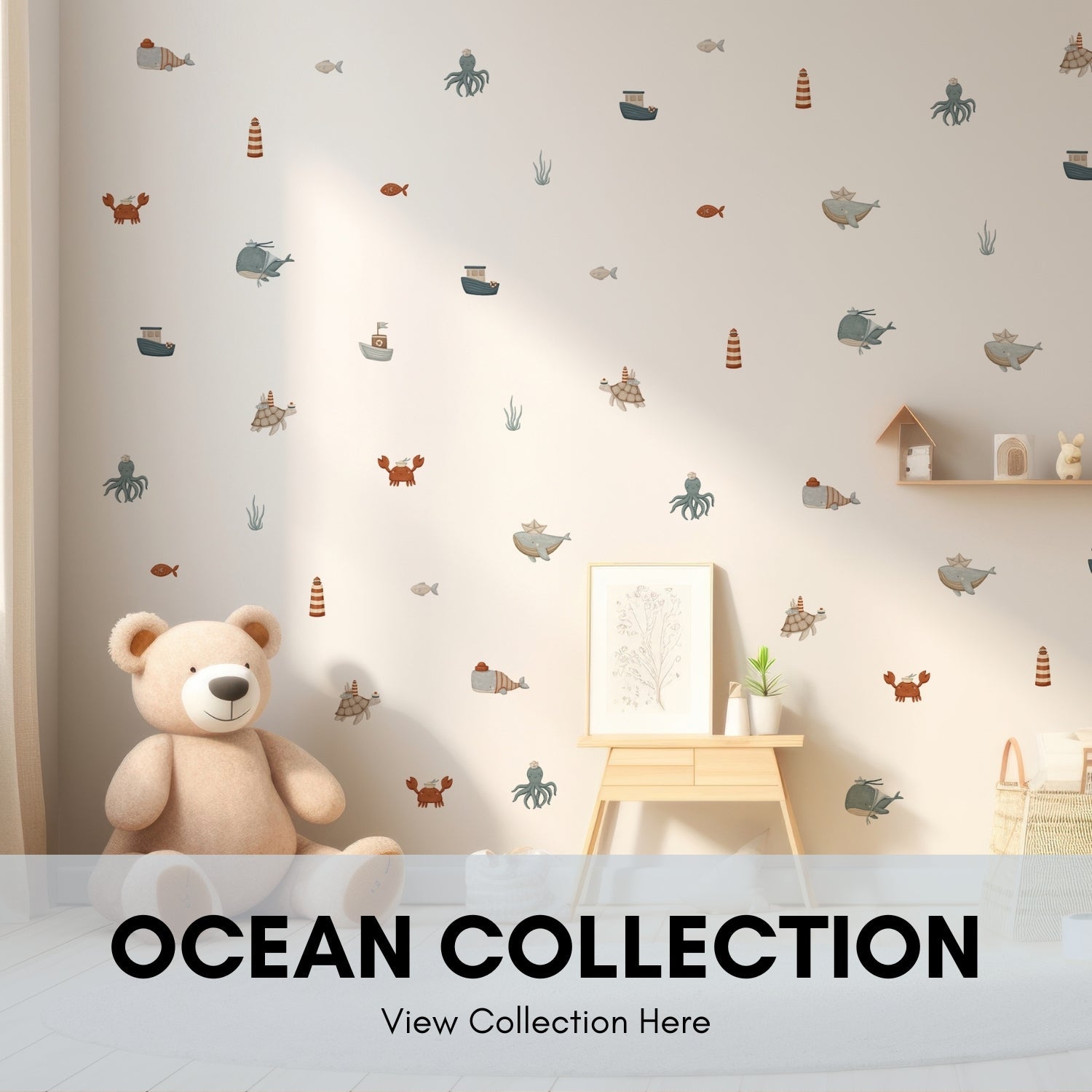 Ocean & Coastal Collection