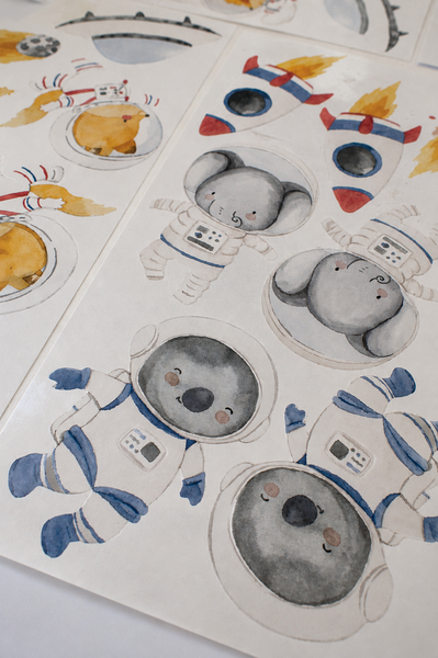 Animals in Space