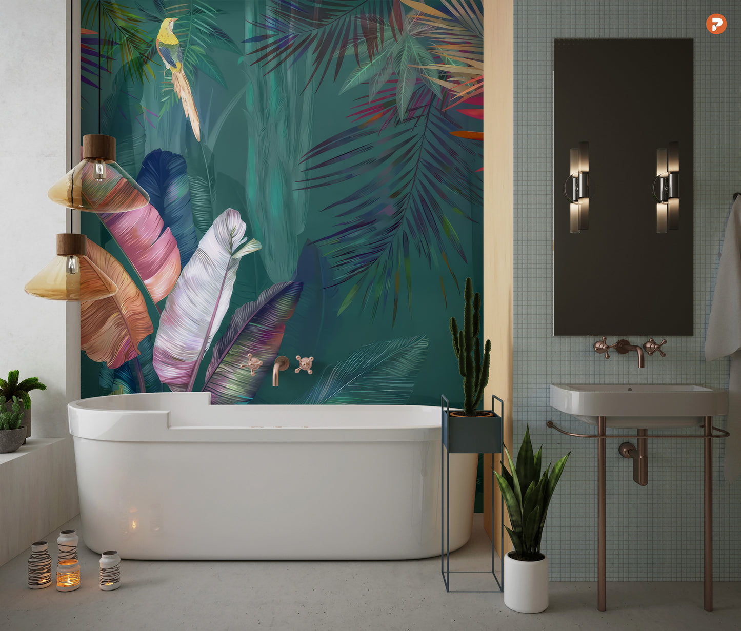 Colourful Exotic Plants
