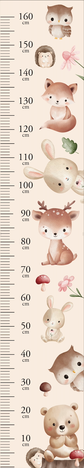 Fairies Height Chart