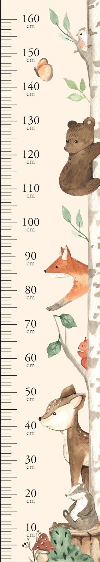 Forest Friends Height Chart