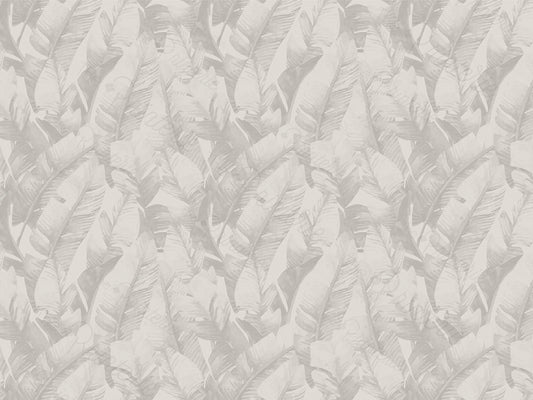 Grey Tropics