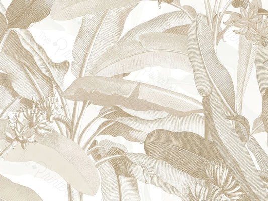 Aurum Palms