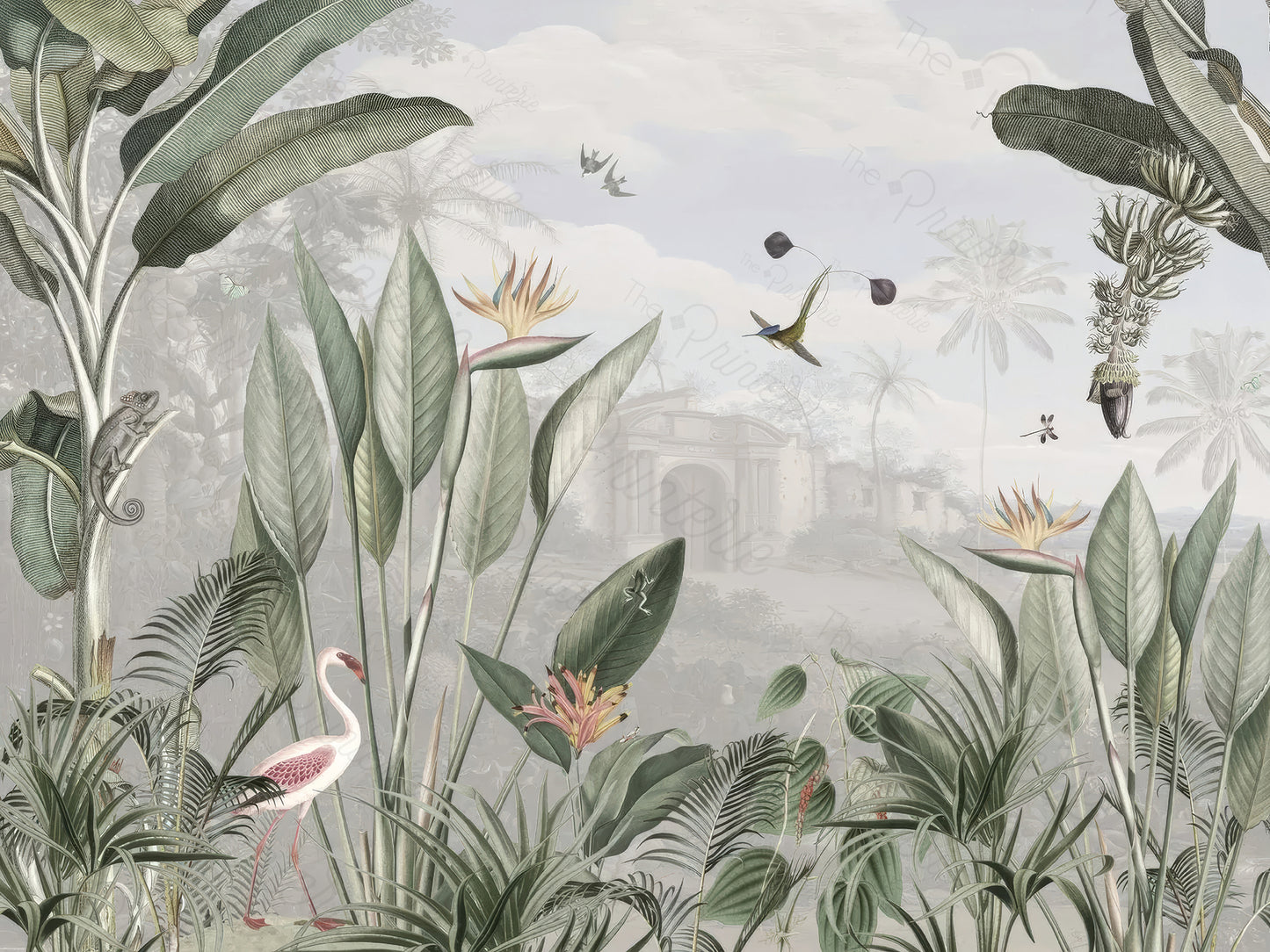 Feathers and Palms