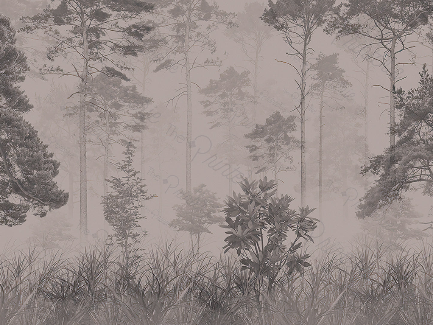 Silverwood Forest