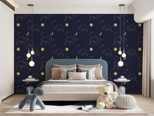 Night Skies
