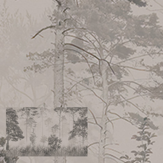 Silverwood Forest