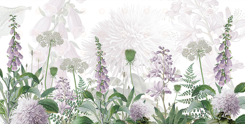 Fox Glove Flowers