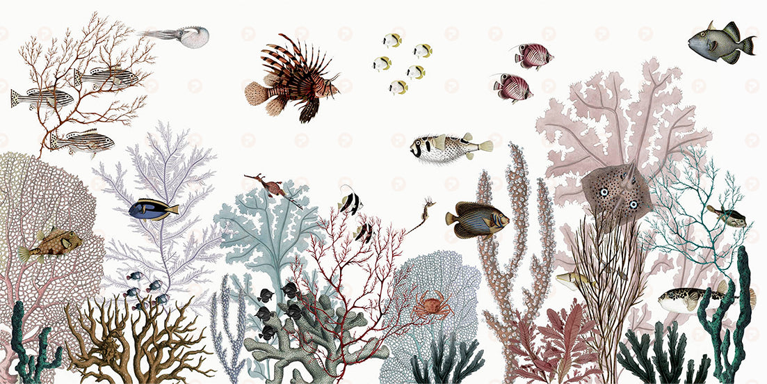 Roaring Reef | White