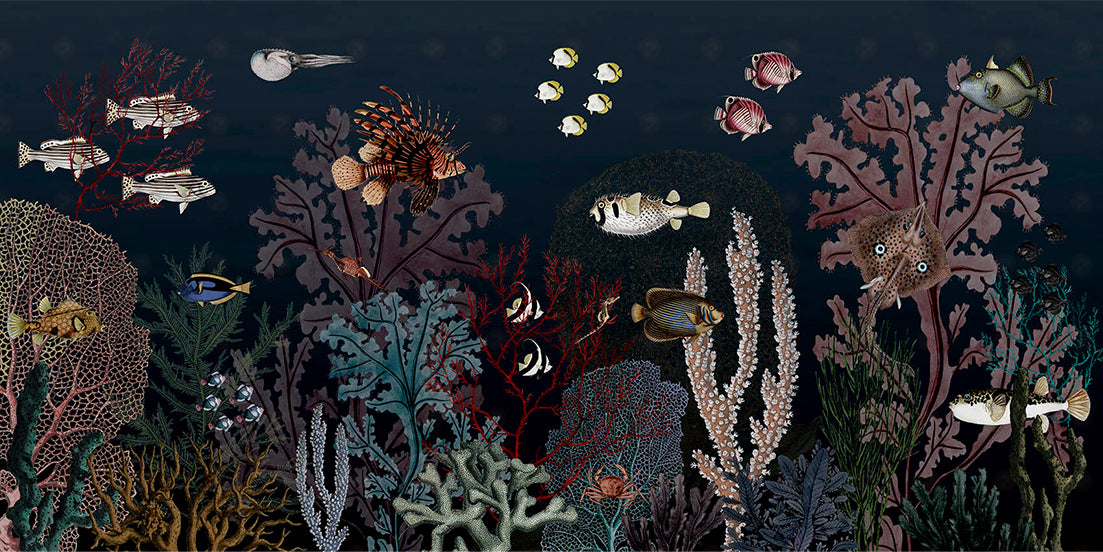 Roaring Reef | Blue