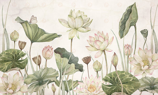 Lovely Water Lilies