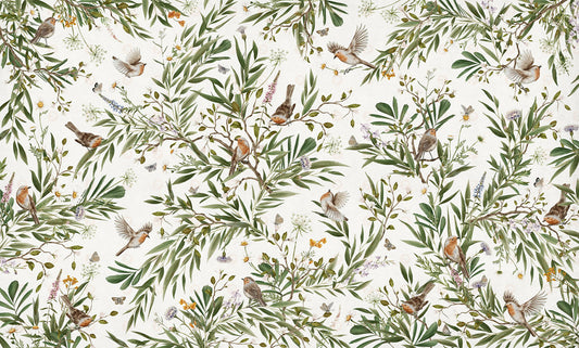 Playful Series | Robins | White