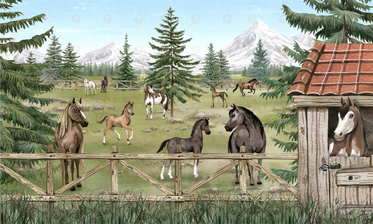 Horse Haven