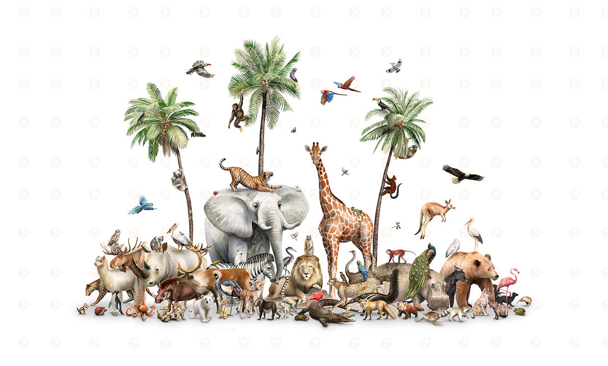 Beautiful Biodiversity