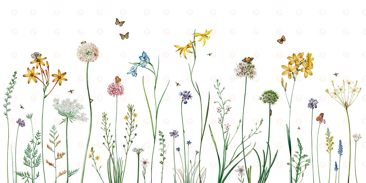 Butterfly Garden