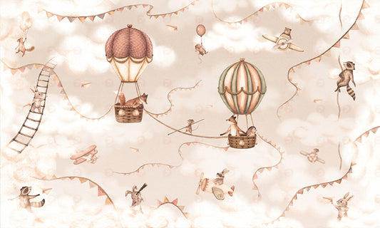 Aviation Adventure | Mono