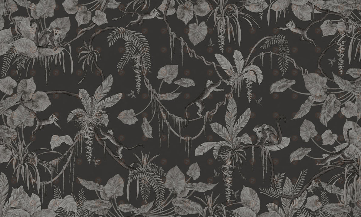 Playful Series | Monkey | Mono Black