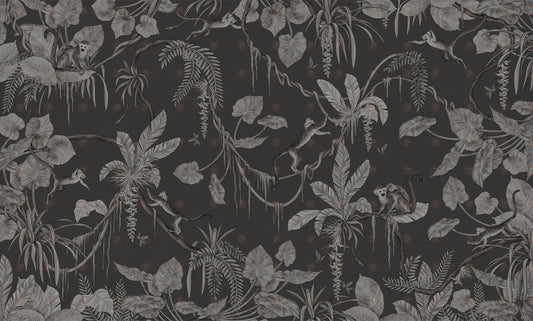 Playful Series | Monkey | Mono Black