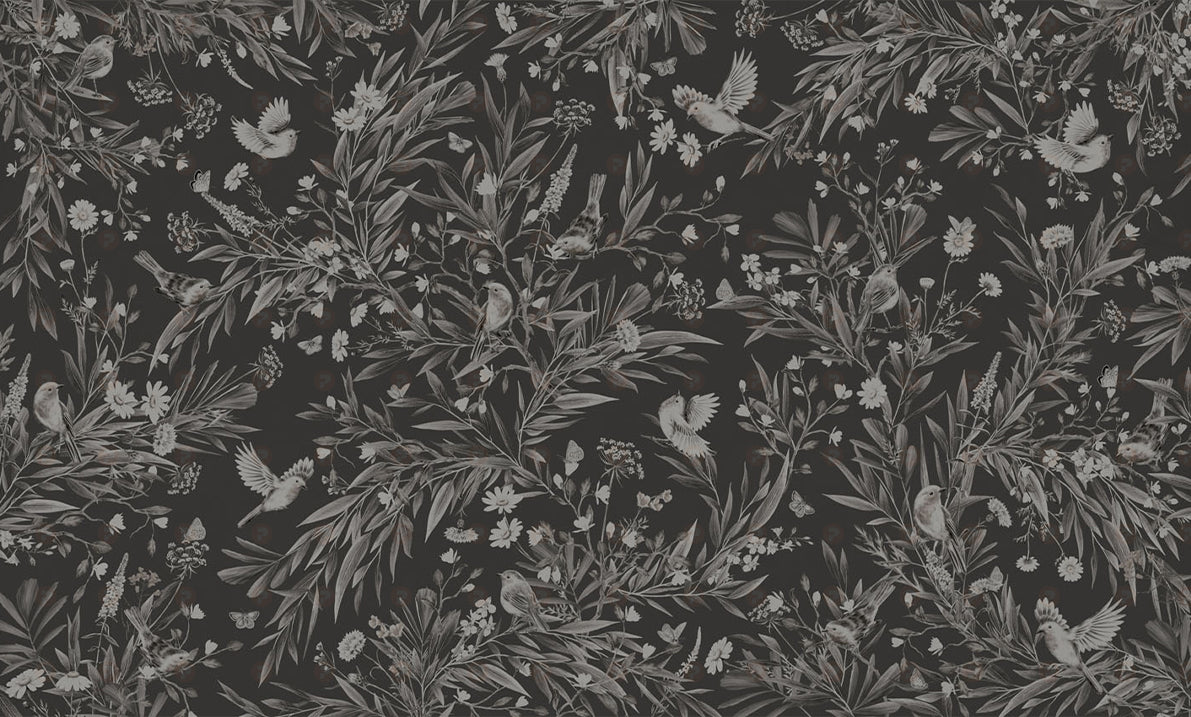 Playful Series | Robins | Mono Black