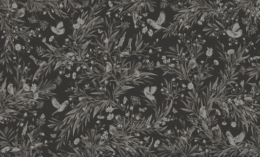 Playful Series | Robins | Mono Black