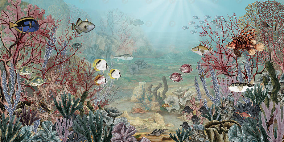 Coral Creatures