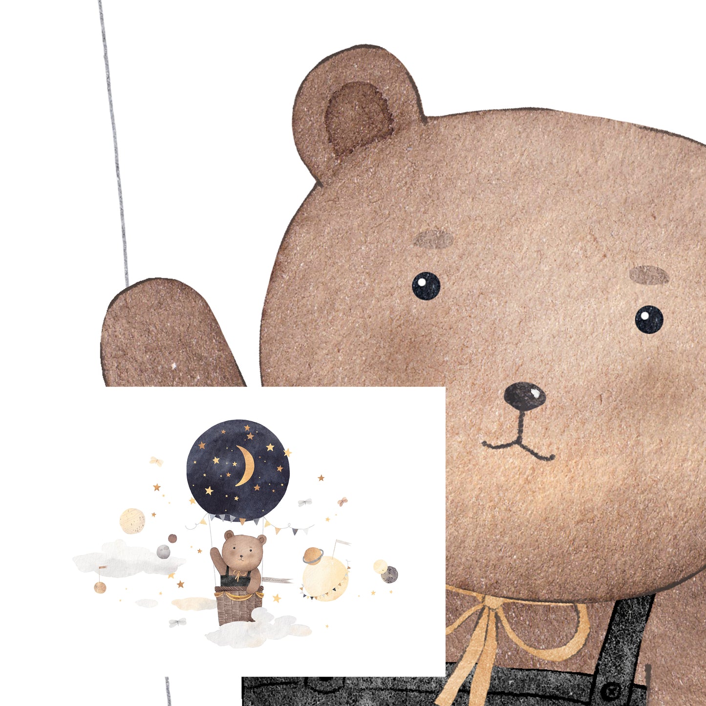 A Bear's Journey