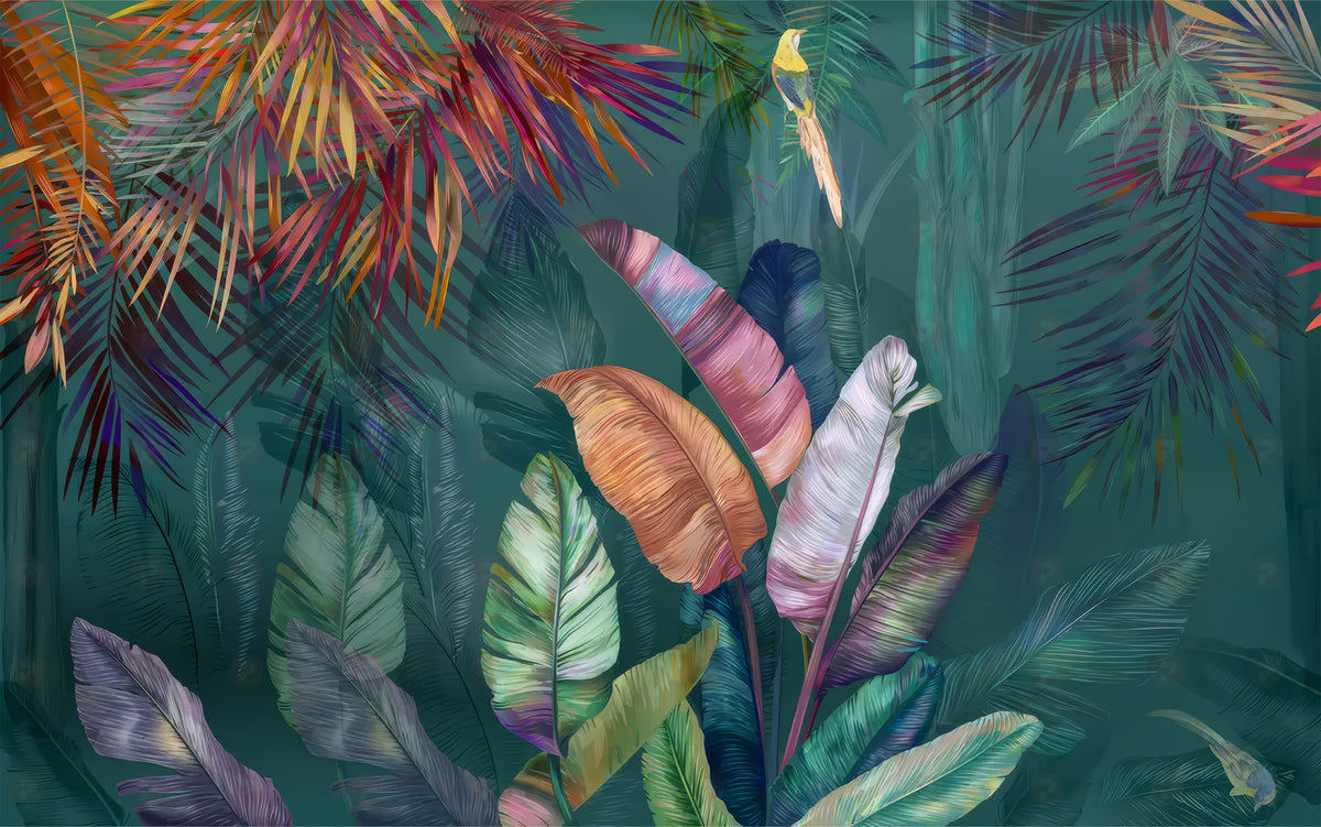 Colourful Exotic Plants