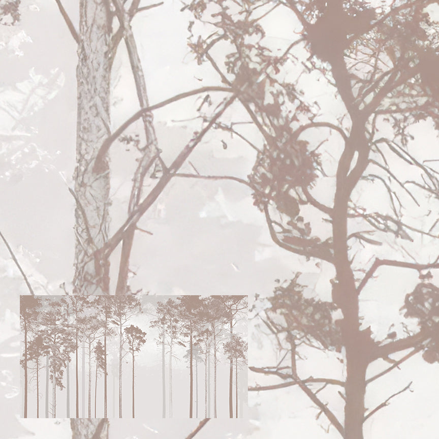 Whispers in the Pine