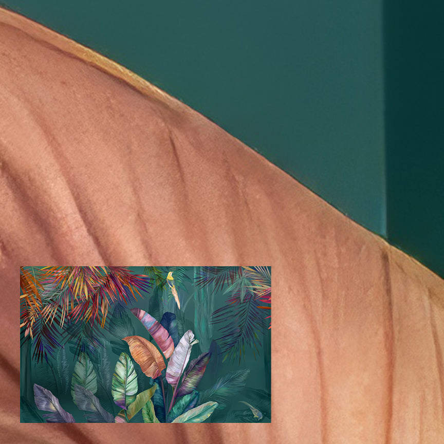 Colourful Exotic Plants