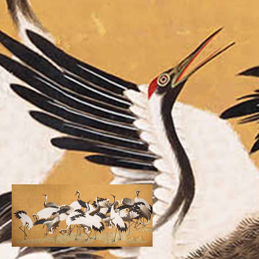 Crane Birds