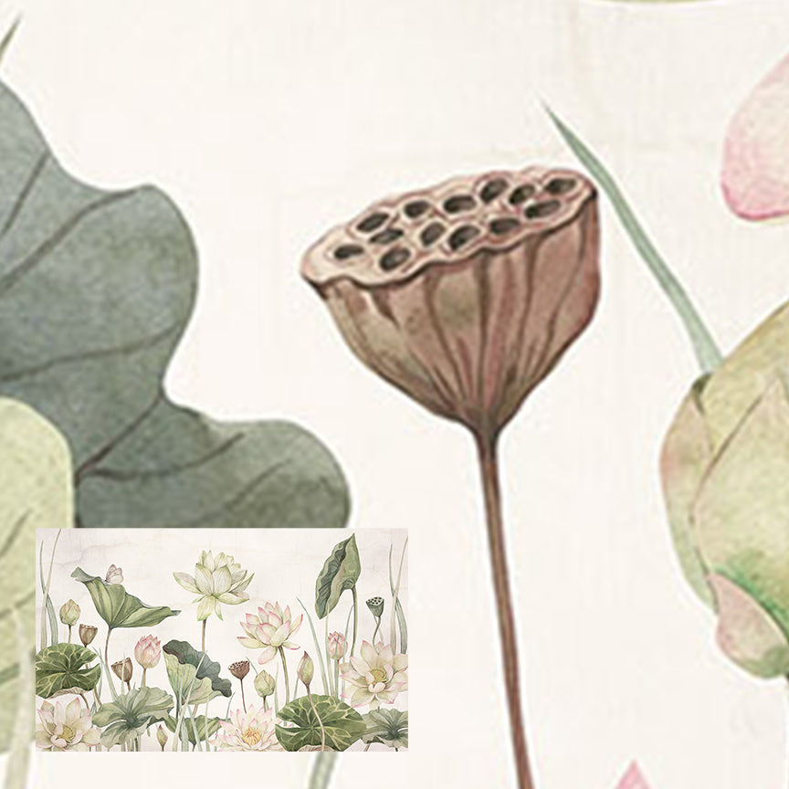 Lovely Water Lilies
