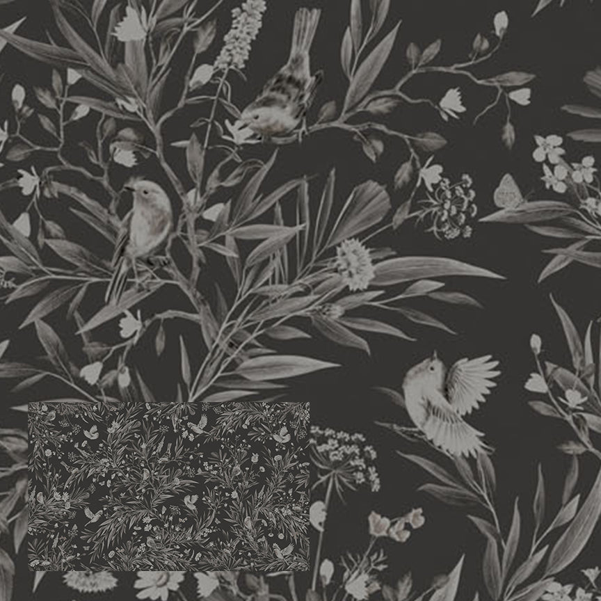 Playful Series | Robins | Mono Black
