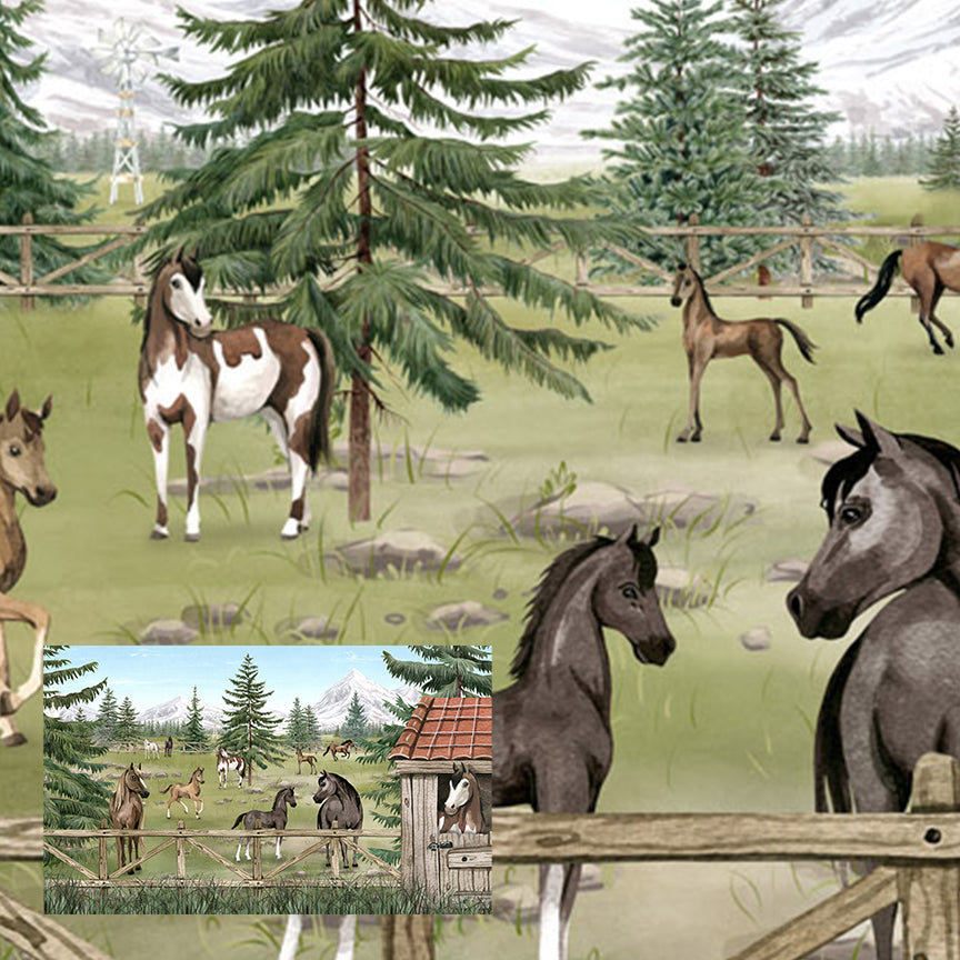 Horse Haven